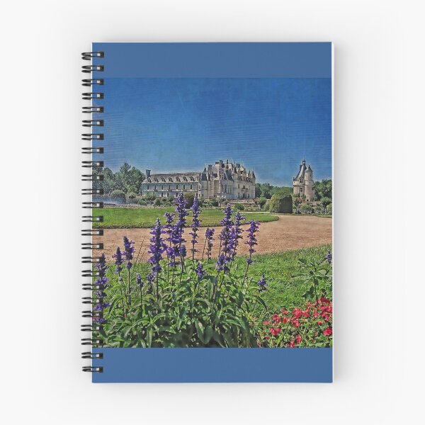 Item preview, Châteaux of the Loire Valley. Chenonceau. designed and sold by vadim19.