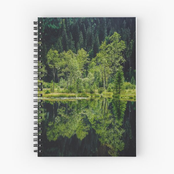 Item preview, Symmetry of trees reflection in calm water of forest lake, freshness of nature designed and sold by Alexander Sorokopud.