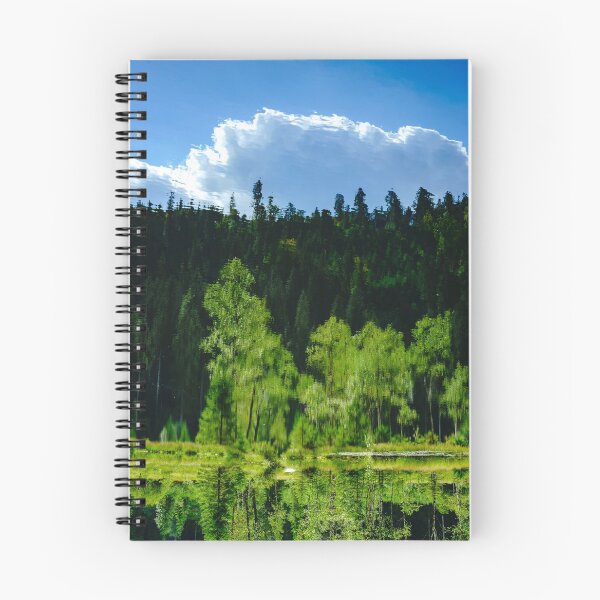 Item preview, Symmetry of trees reflection in calm water of forest lake, freshness of nature designed and sold by Alexander Sorokopud.