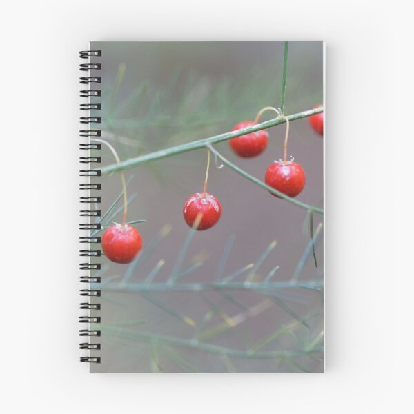Item preview, Berries of a garden asparagus (Asparagus officinalis) designed and sold by Zosimus.