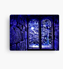 Snowstorm Fine Art Print Canvas Print