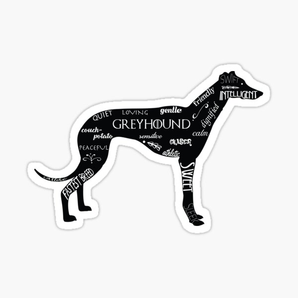 Dog Sign Coursing Decal Gift Idea Greyhound on Board Car Window Sticker V02 