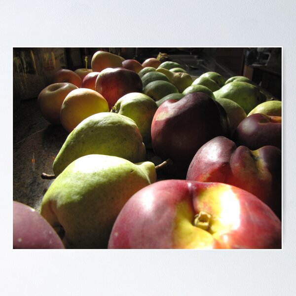 Artikelvorschau, Harvest entworfen und verkauft von Diane Arndt.