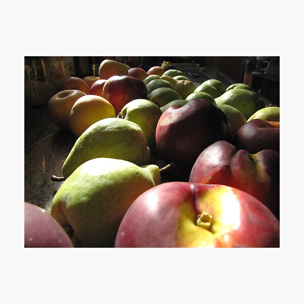 Item preview, Harvest designed and sold by Diane Arndt.