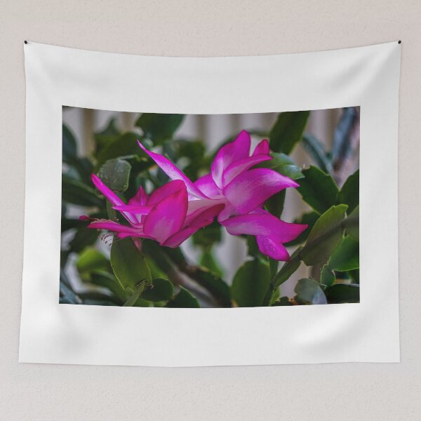 Item preview, cactus flower designed and sold by PingiPinguin.