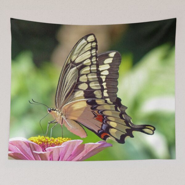 Item preview, Giant Swallowtail Butterfly designed and sold by Frankie Cat Photography.