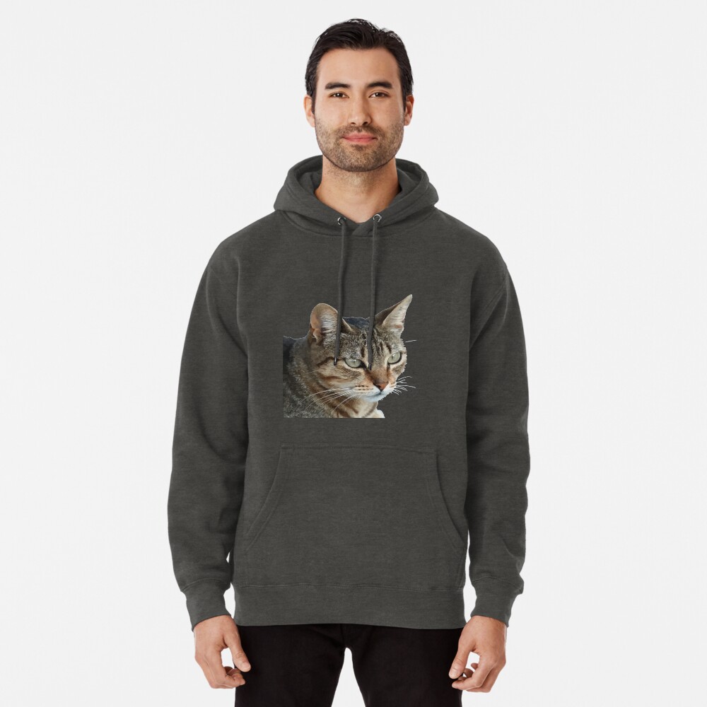 Item preview, Pullover Hoodie designed and sold by taiche.
