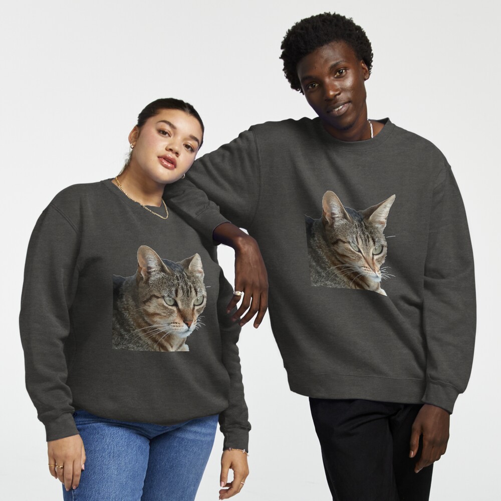 Item preview, Pullover Sweatshirt designed and sold by taiche.