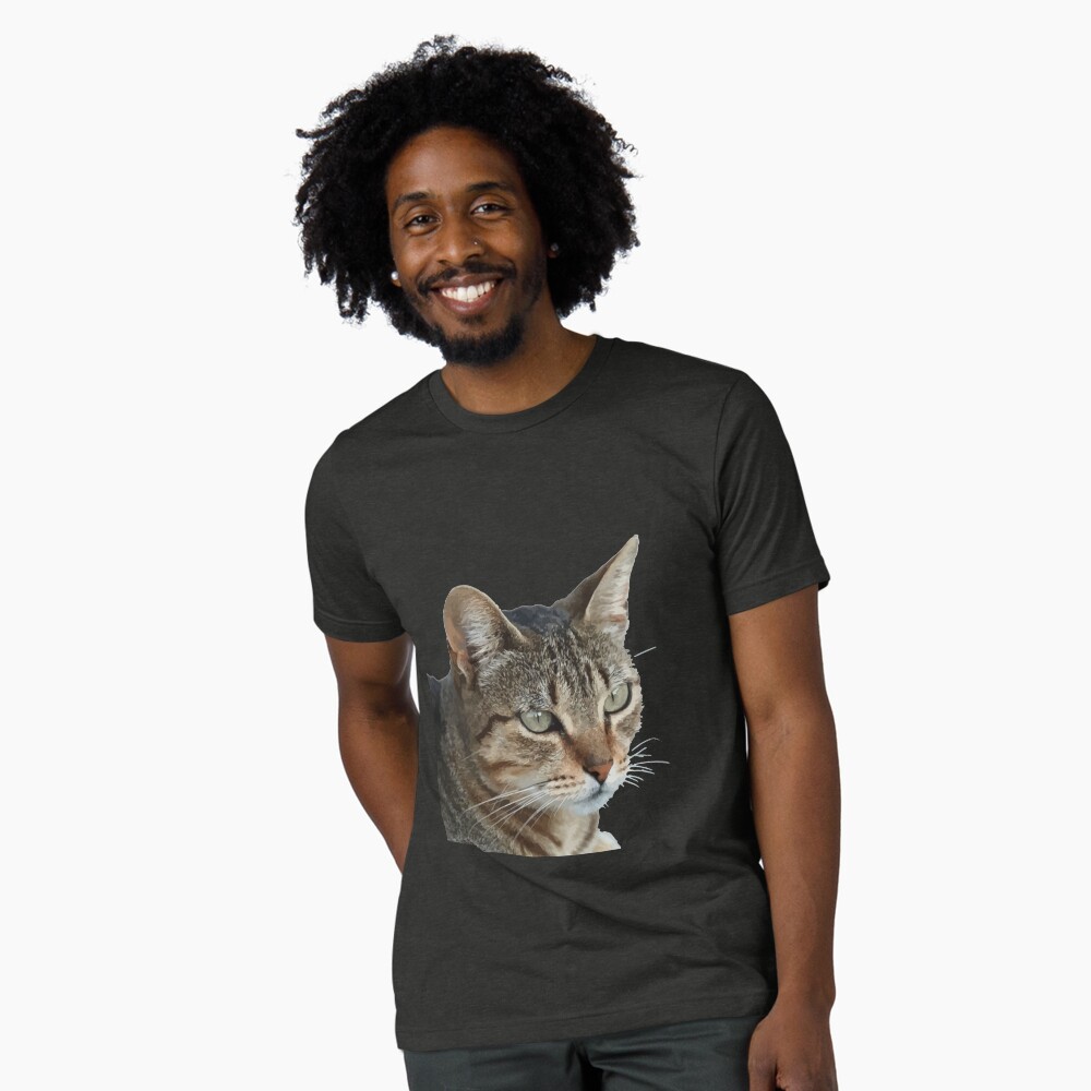 Item preview, Tri-blend T-Shirt designed and sold by taiche.