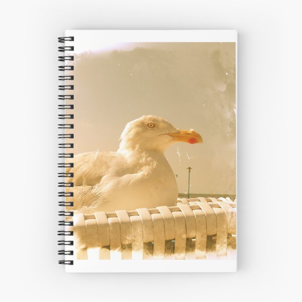 Item preview, Gull designed and sold by SusiMalt.