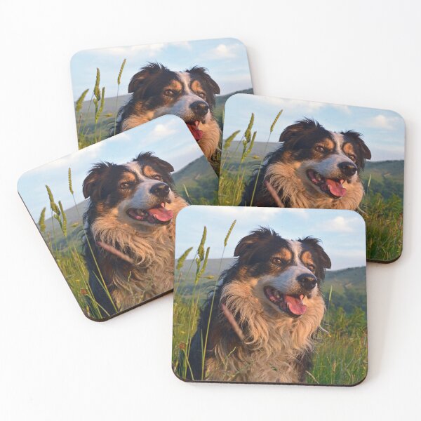 Item preview, Magic of Laddie. designed and sold by Michael Haslam.