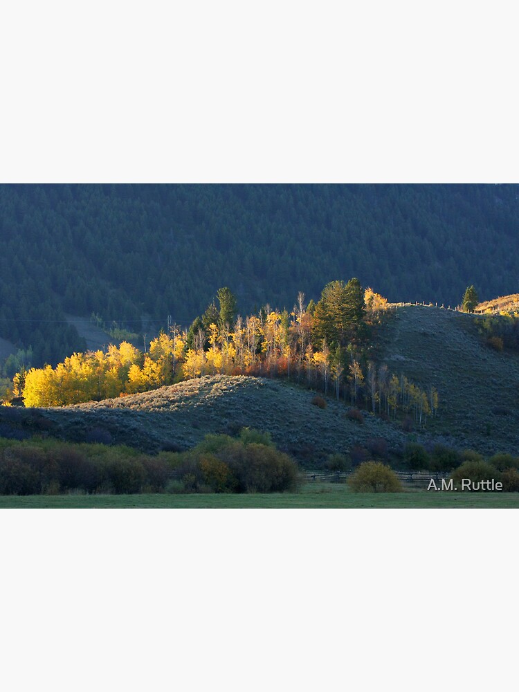 Hill at the Edge of Town by annruttle