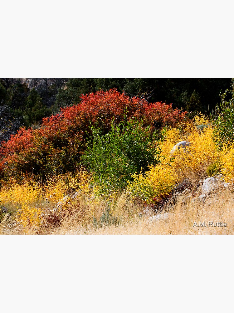 Sinks Canyon RGY by annruttle