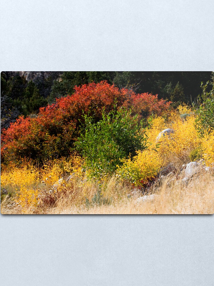 Alternate view of Sinks Canyon RGY Metal Print
