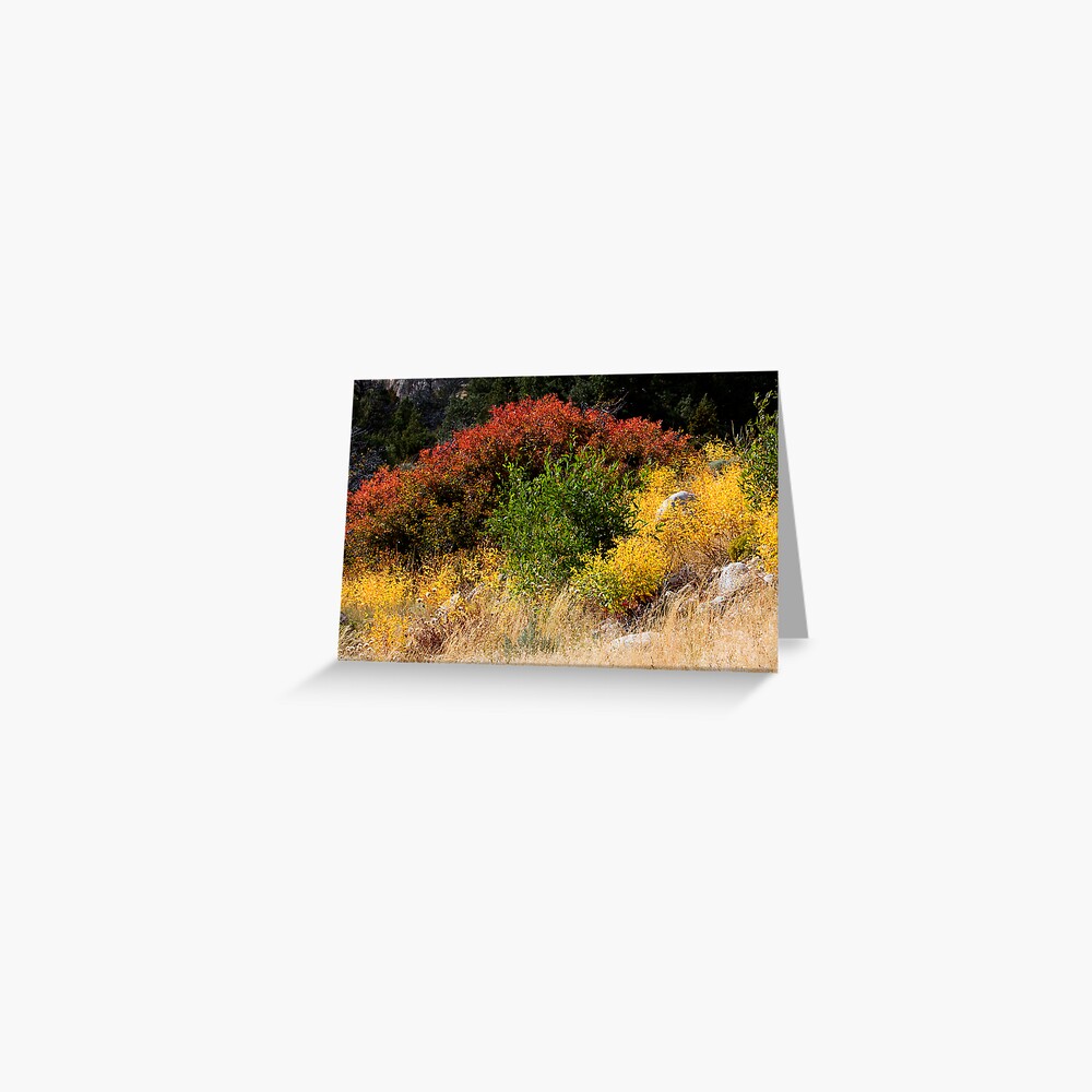 Sinks Canyon RGY Greeting Card