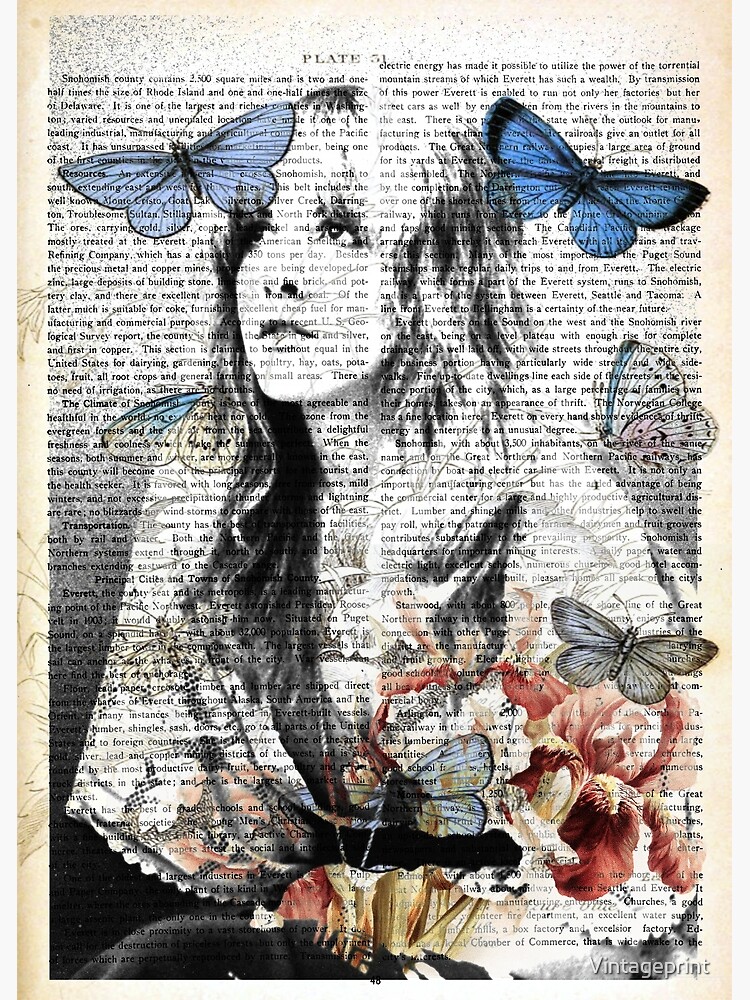 Stevie Nicks Vintage Print von Vintageprint