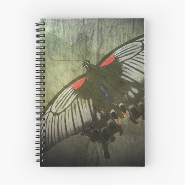 Item preview, Love is Like a Butterfly designed and sold by Carol Bleasdale.