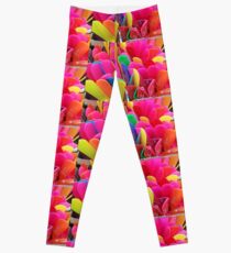 Psychedelia Leggings