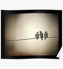 Three Little Birds Poster