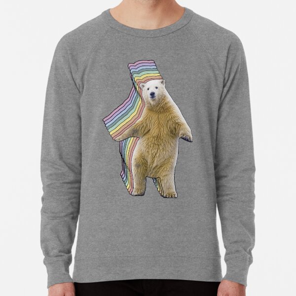 Cool bear sweatshirt top