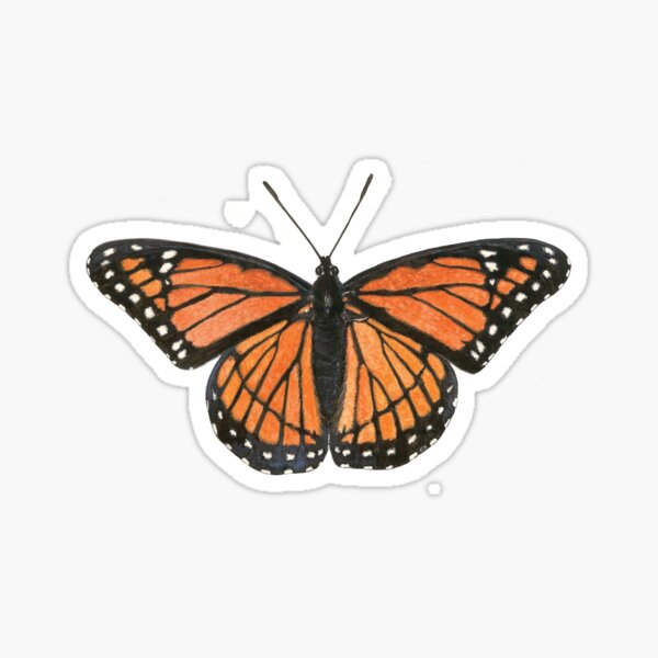 Item preview, Monarch Butterfly designed and sold by Randall Bennett.