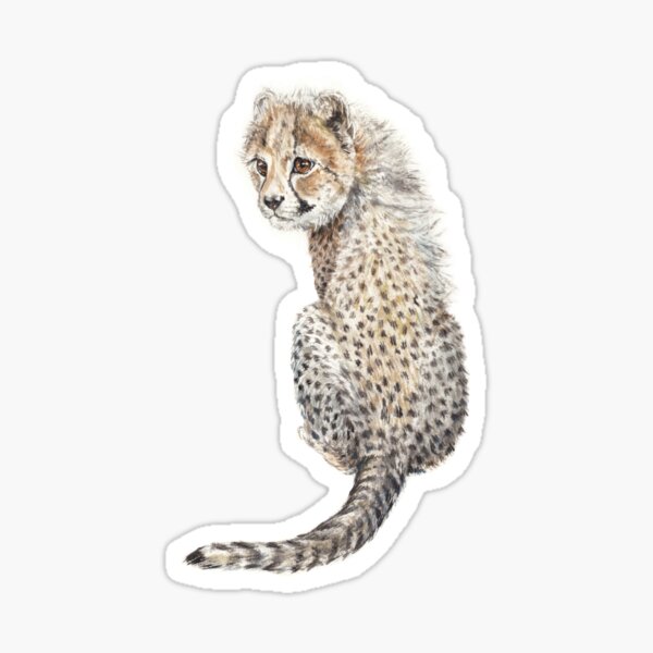 Cheetah Watercolor Detailed Looking Back Big Cat Safari Sticker