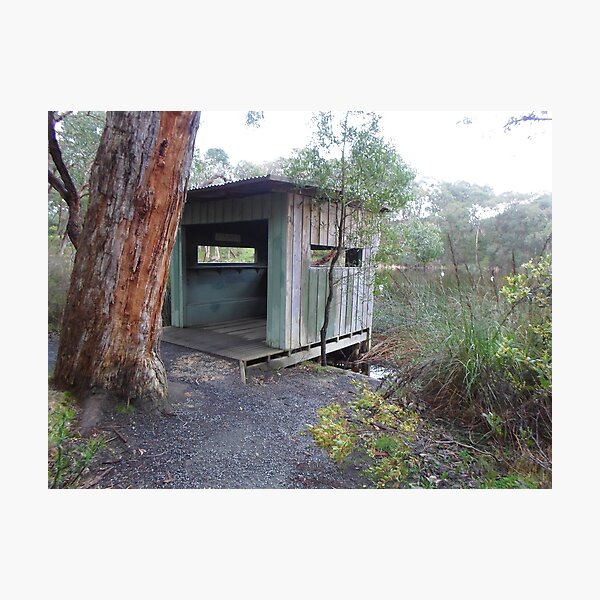 Item preview, The Bird Watcher's Hide 3 designed and sold by KeksWorkroom.