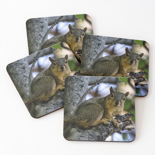 Item preview, Gray Squirrel  designed and sold by MoreGoodArt.