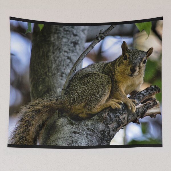 Item preview, Gray Squirrel  designed and sold by MoreGoodArt.