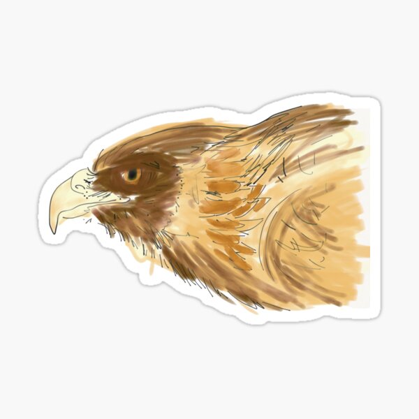 Hawk Eye Sticker