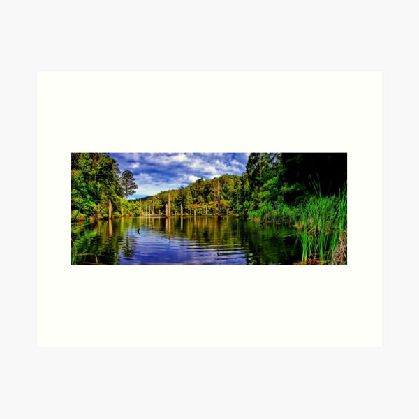 Lake Elizabeth. Art Print