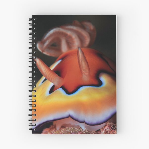 Item preview, Co's Chromodoris designed and sold by MattTworkowski.