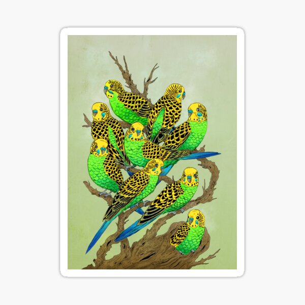 Green and Gold Budgies Sticker