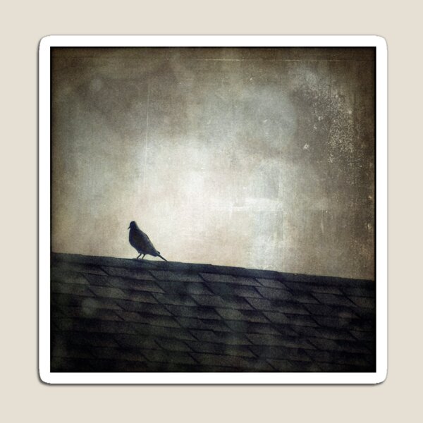 Lonesome Dove Magnet