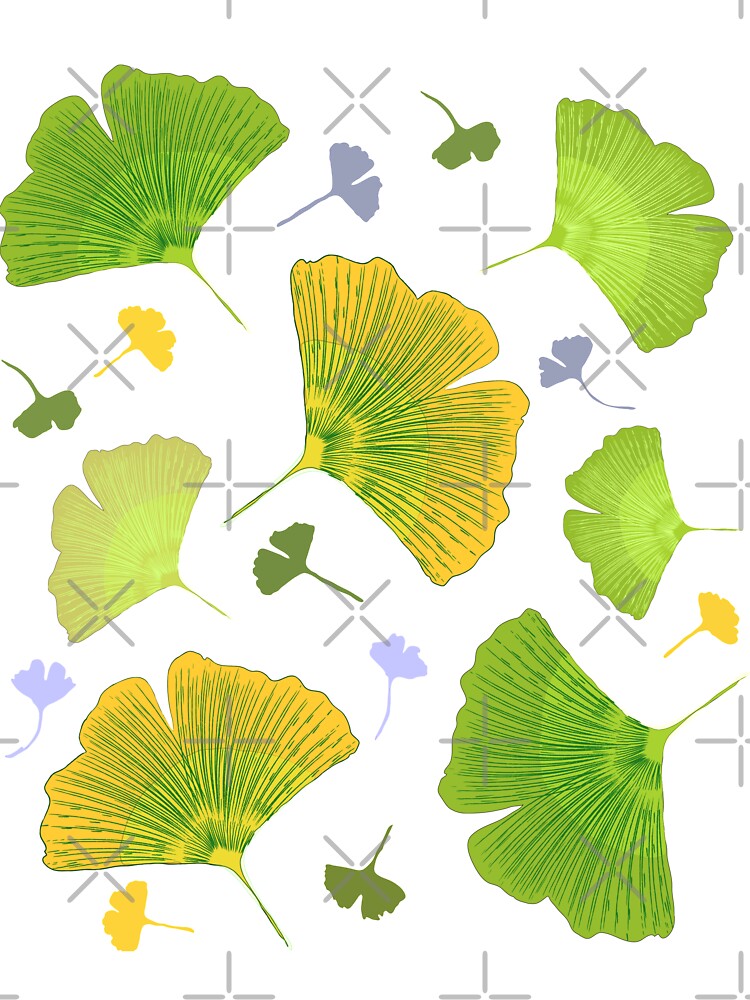 Dance of the leaves of Ginkgo