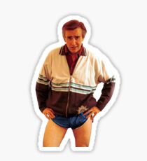 Alan Partridge Dream Sticker