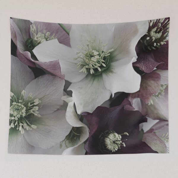 Item preview, Thornton Road Hellebores designed and sold by wallflowernz.