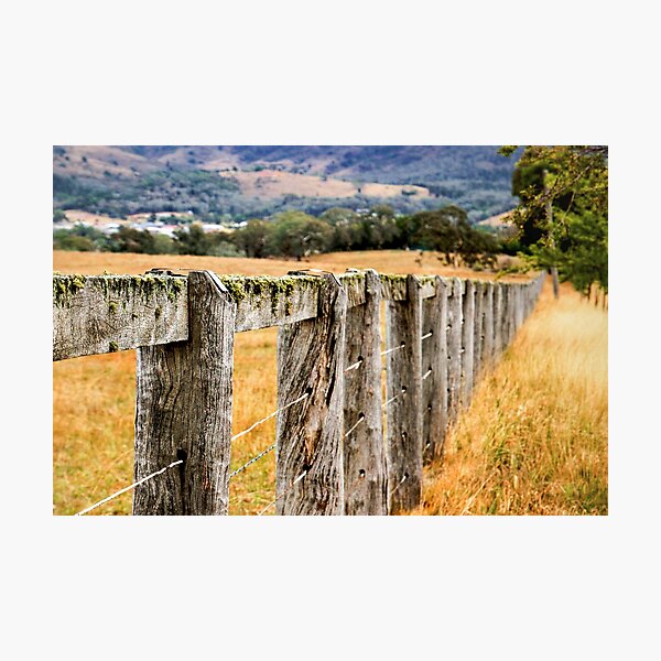 Item preview, Fenceline designed and sold by Carolyn's Captures - Original Photohgraphy.