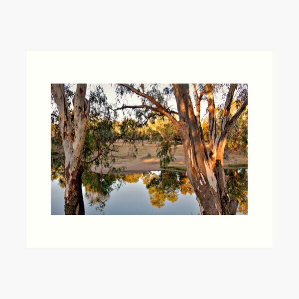 Item preview, Macquarie River, Dubbo designed and sold by Carolyn's Captures - Original Photohgraphy.