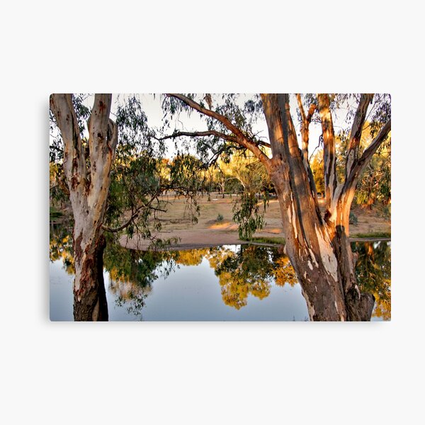 Item preview, Macquarie River, Dubbo designed and sold by Carolyn's Captures - Original Photohgraphy.