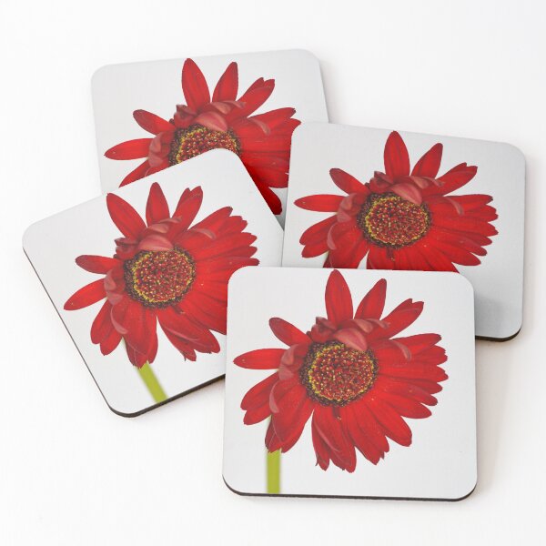 Item preview, Red Gerbera designed and sold by heidipics.