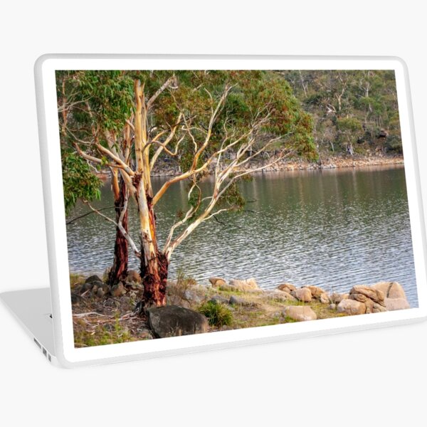 Australian Lake Laptop Skin