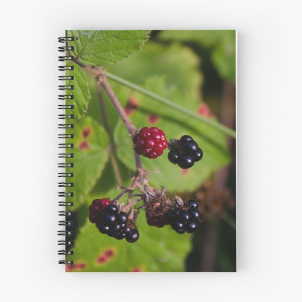 Item preview, Early Autumn Blackberries designed and sold by clgcreativearts.