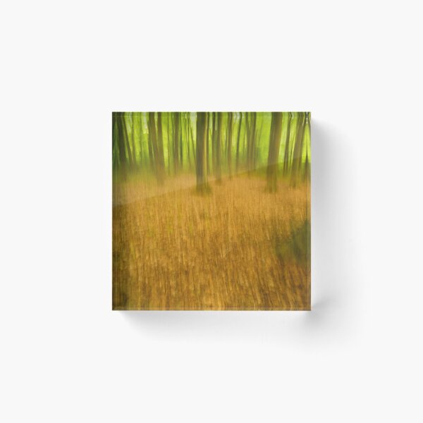 Item preview, Whacky Woodland designed and sold by heidipics.