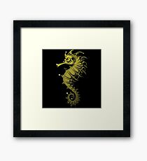 Sea horse Framed Print