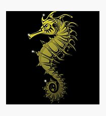Sea horse Photographic Print