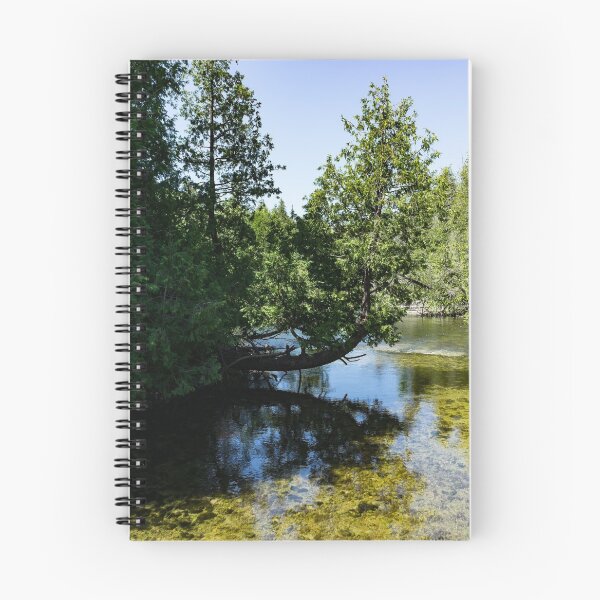 Item preview, The Crooked Cypress - Elegantly Bowed Tree, Curving Over a Crystal Clear River designed and sold by Georgia Mizuleva.