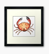 Crab: Fish of Portugal Framed Art Print