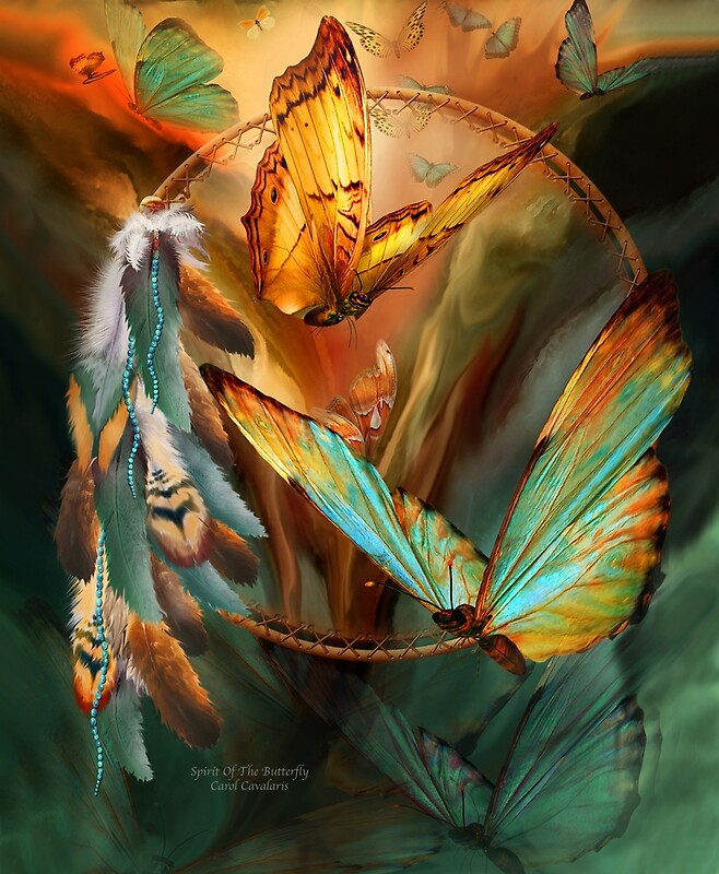 "Dream Catcher Spirit Of The Butterfly" by Carol Cavalaris Redbubble