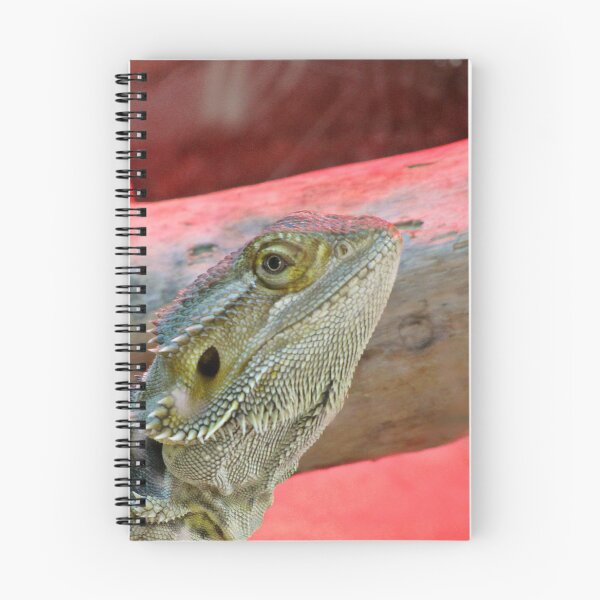 Item preview, Bearded Dragon designed and sold by Carol Bleasdale.